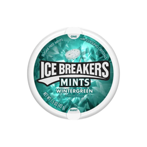 ICE BREAKERS BONBONS À LA MENTHE WINTERGREEN 42 GR